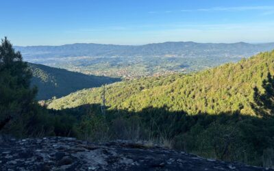 Reggello, into the wild